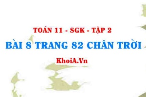 Bài 8 trang 82 Toán 11 Tập 2 Chân trời sáng tạo